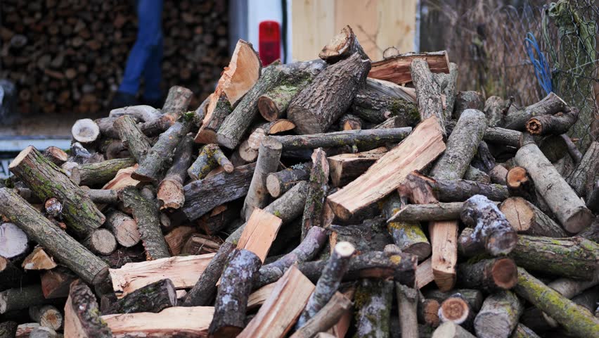 Lumberjack unloading firewood from truck for winter heating