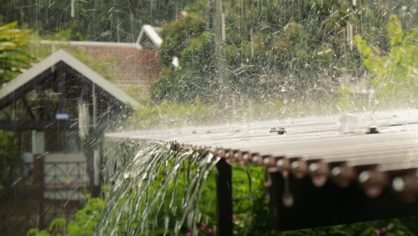 Tropical Rainfall in a Thai Garden, Peaceful Monsoon Atmosphere, Rain season in Chiang Mai.