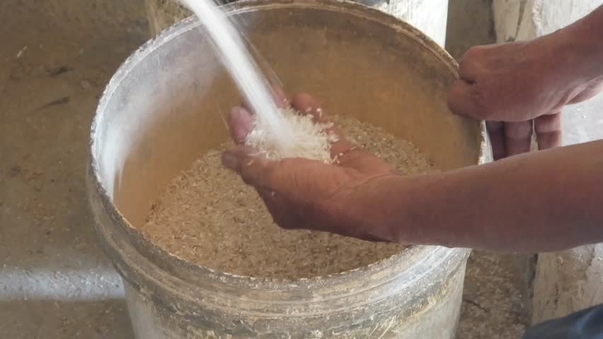 The process of milling rice into rice using a grinding machine.