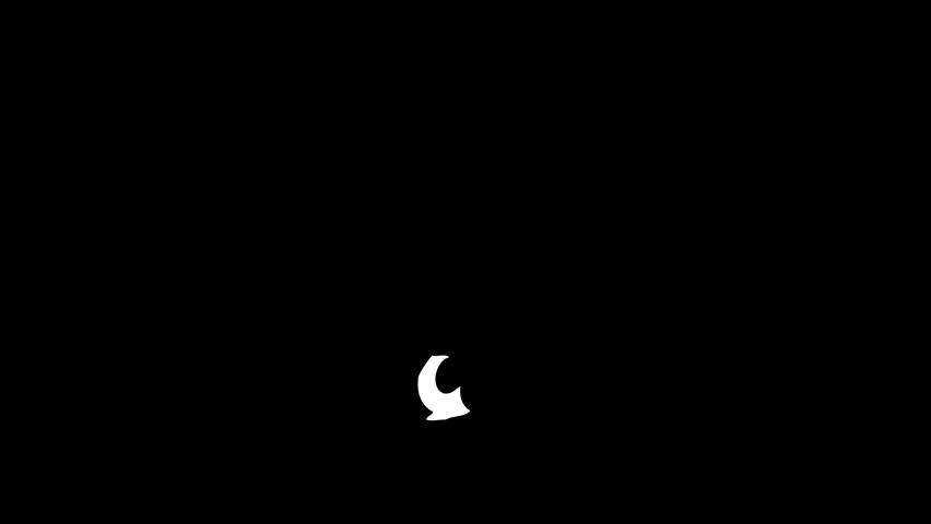 Shutterstock Video