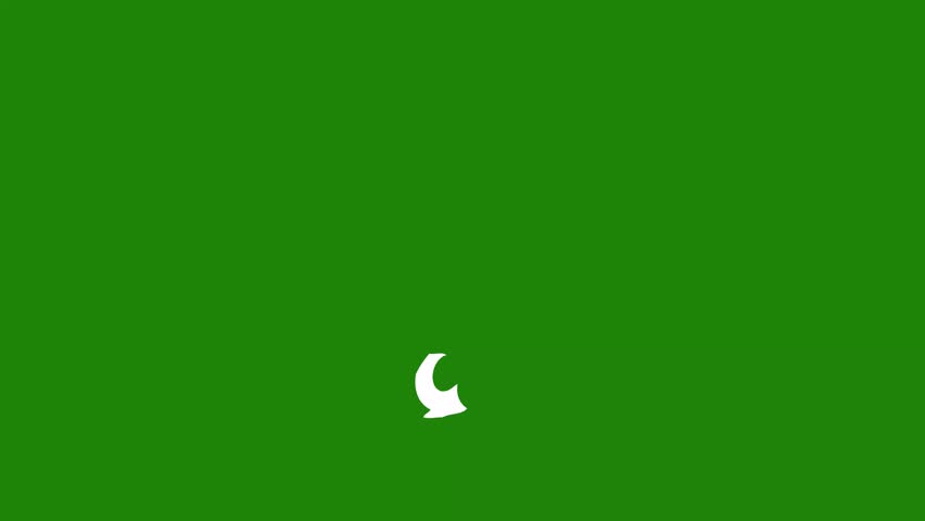 Shutterstock Video