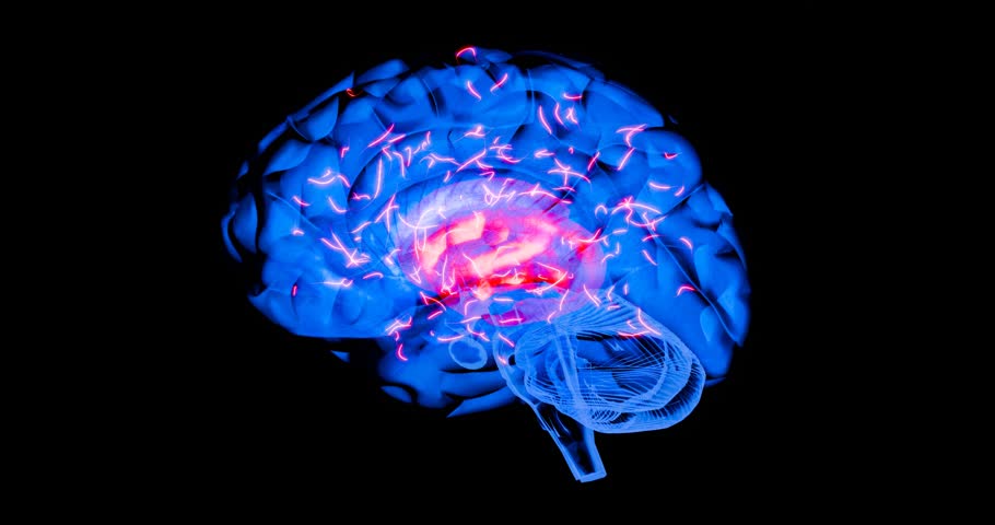 Detailed illustration of neuron communication inside the brain with energy pulses and synaptic flashes, ideal for science and medical research – 3D Rendering
