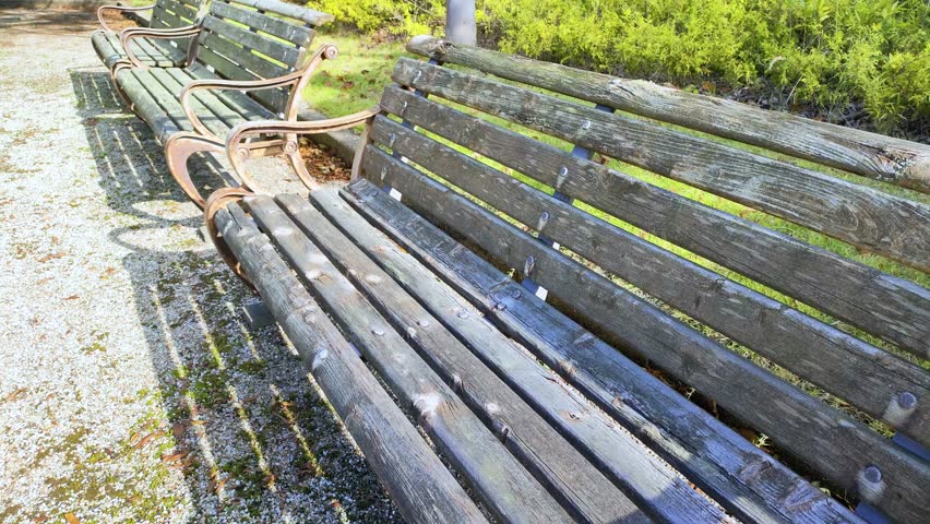 Old bench in the park, tohoku Japan