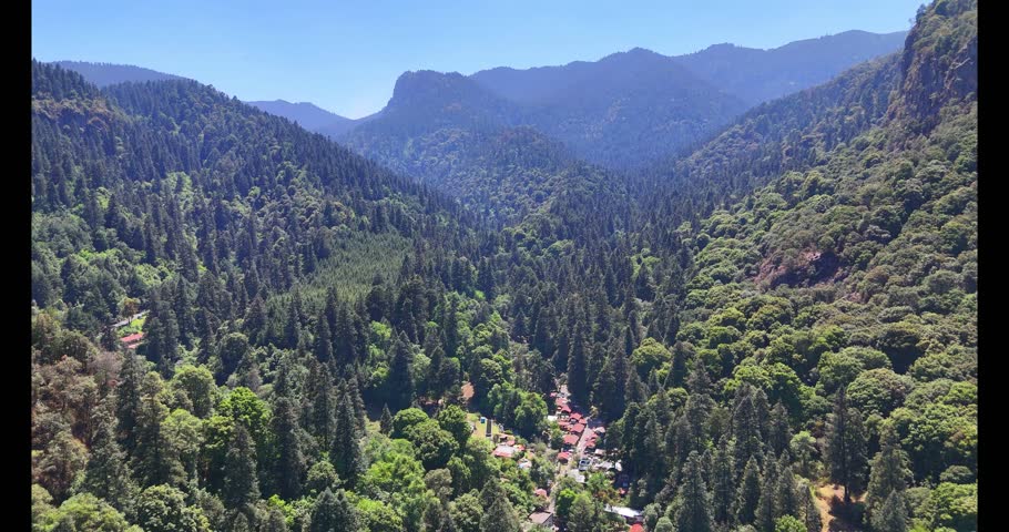 Los Dinamos National Park, a breathtaking natural escape in the southwest of Mexico City. 2,429 hectares of forest, the park is known for its 26-kilometer network of eco-paths for hiking and biking 