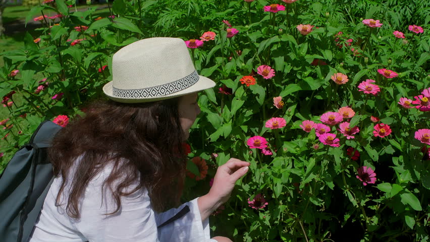 Female traveler savoring vibrant zinnia fragrance while standing among colorful blossoms during peaceful botanical garden exploration under warm summer sunlight