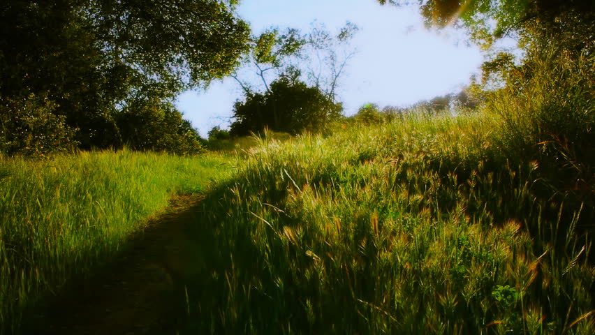Grassy Trail in Rural Area