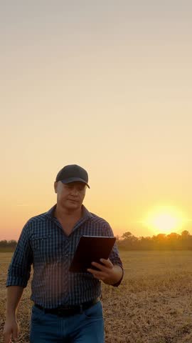 Farmer walks at sunset. farming. farmer silhouette. farmer with digital tablet in his hands, walking through a mown field, at sunset or the rising sun. agriculture farming business concept.