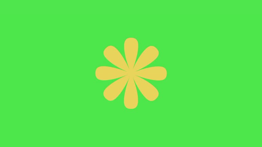 Shutterstock Video