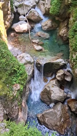 A picturesque view of a rocky riverbed with clear blue water flowing through a lush green gorge, surrounded by dense trees and moss-covered cliffs under natural light