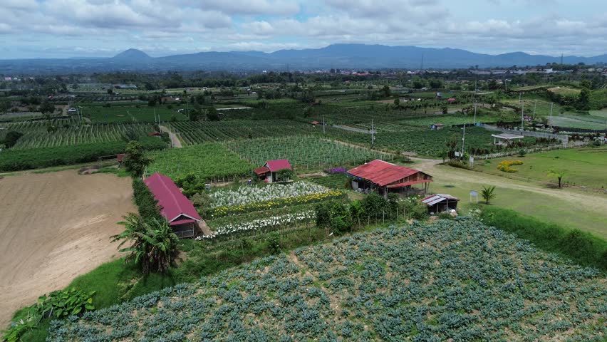 Aerial view of rural farmland with vegetable plots, red-roof houses, and mountains