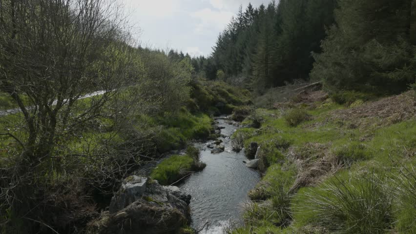 Scenery of Hafren forest, Wales