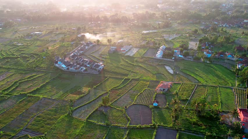 Rice terraces in the countryside show real landscapes, drones fly over layers of colorful rice fields