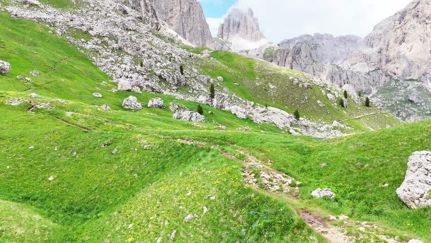 Aerial, forward drone flight near Rotwandhütte ( Rifugio Roda di Vaèl). Above alpine meadow with wild flowers and rocks. Impressive peaks in background. Wonderful hiking destination. Wild outdoor natu