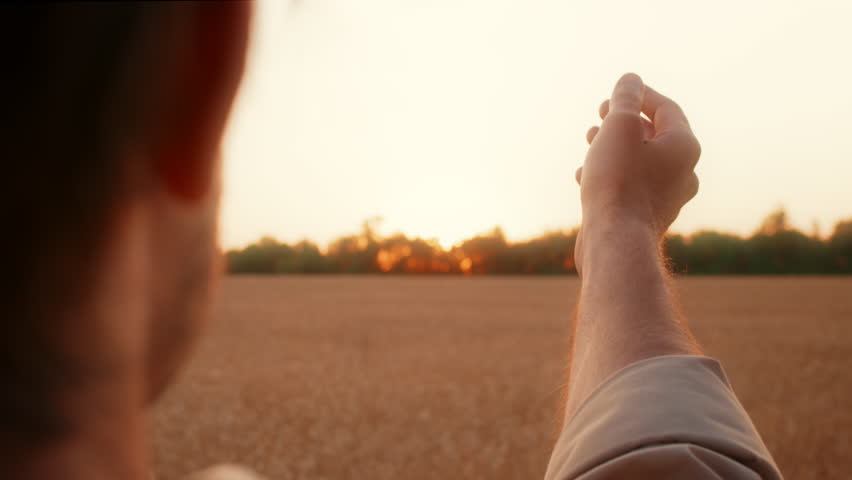 Sunset over golden field with person reaching towards the horizon in 4K footage