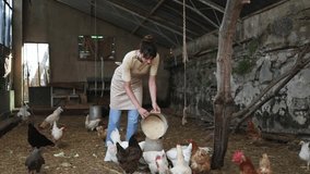 Farmer feeding chickens in a barn - Powered by Shutterstock - Get 15% off with code: PIKWIZARD15