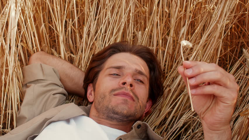 Man relaxing in golden wheat field while observing a delicate flower