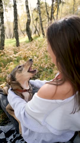 Young woman relaxes while walking her dog in autumn forest