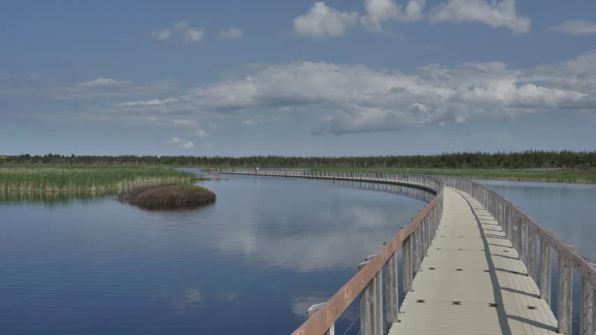 Wooden walkway on the lake in prince edward island Canada
