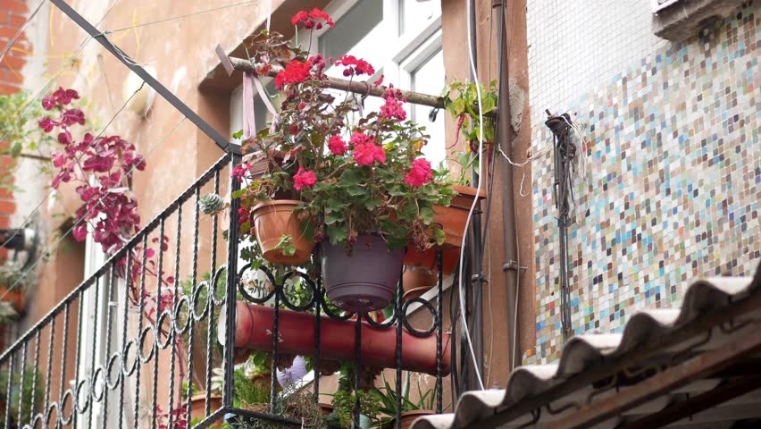 Balcony garden filled with vibrant flowers in urban setting