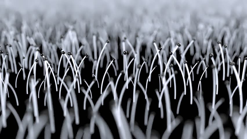 Micro Psilocybin mushrooms mycelium fungus 4k. 3D Illustration