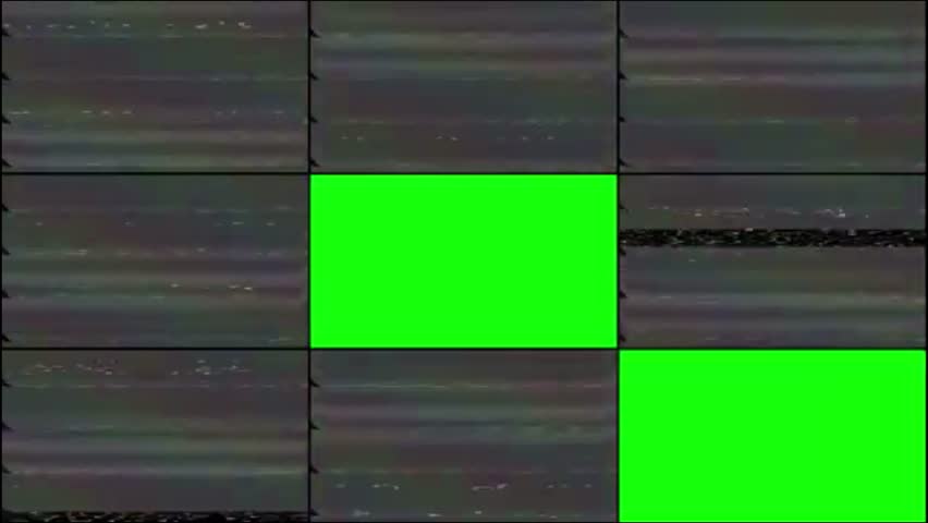 Shutterstock Video