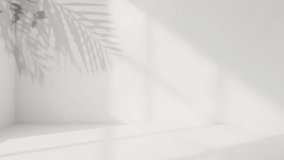 Minimalist white wall with palm leaf shadow and natural light - Powered by Shutterstock - Get 15% off with code: PIKWIZARD15