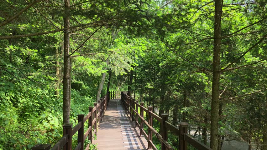 Peaceful wooden walkway winding through dense green forest at Maninsan Natural Recreation Forest Ecological Park
