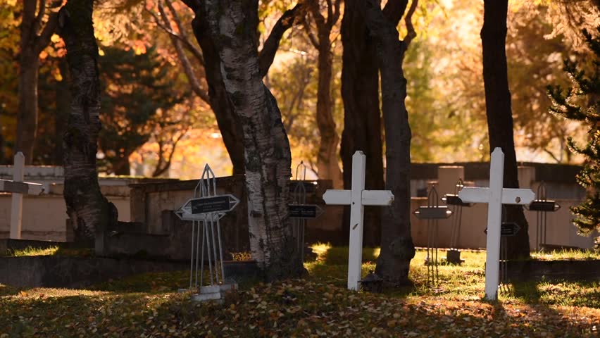Peaceful cemetery in Iceland during autumn with white crosses, fallen leaves, soft sunlight, old trees, tranquil shadows, golden foliage, wooden grave markers, quiet resting place, seasonal colors.