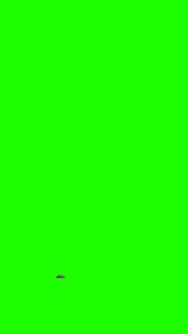 Shutterstock Video