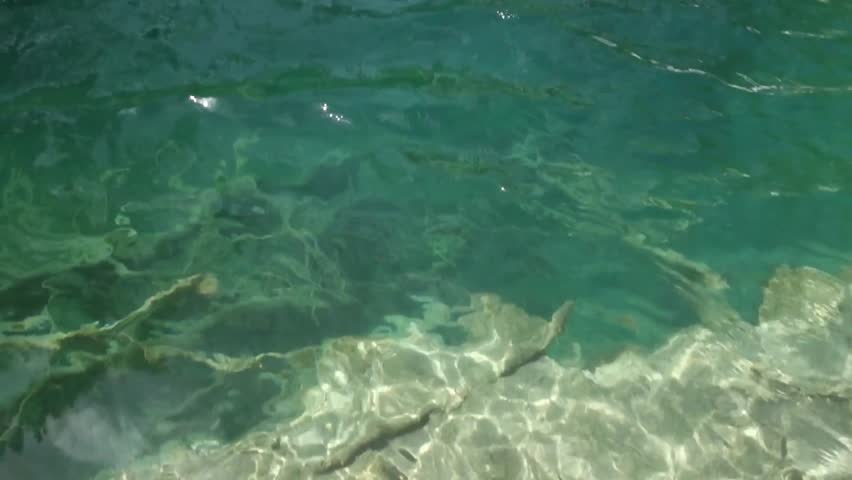 clear turquoise water at Plitvice Lakes National Park. spectacular waterfalls, lakes and flora in Croatia