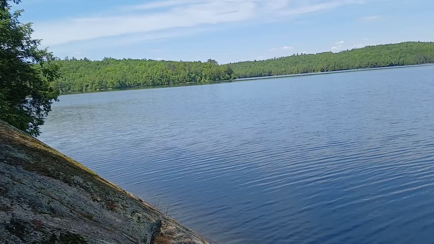 panorama of calm blue lake surrounded by green forest on a clear day 