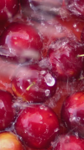 Fresh red plums fall in slow motion onto a glossy red background, creating dynamic water splashes. Captures juicy freshness, vivid color, and energy in high-definition food and fruit action scene.