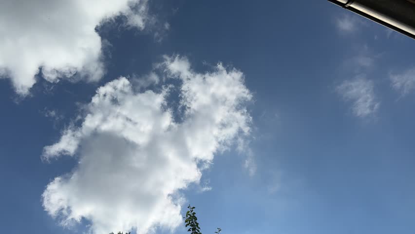 clouds over apple tree in summer