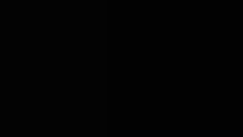 Shutterstock Video