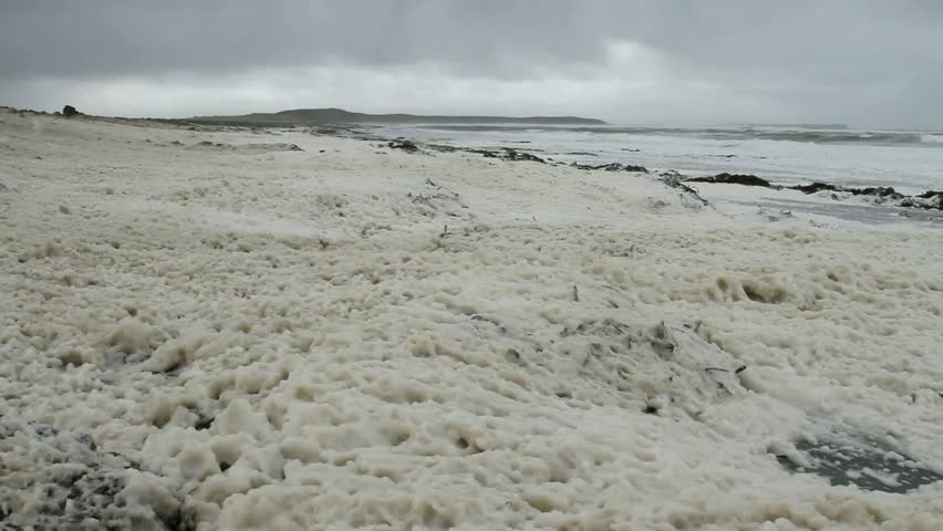 Foam on the beach due to a heavy storm on the Falkland Island