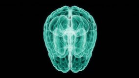 4K 360 3D X-Ray Scan Brain Transparent Artificial Intelligent Glowing Blue Effect Bird Eye Black Background Seamless Looping - Powered by Shutterstock - Get 15% off with code: PIKWIZARD15