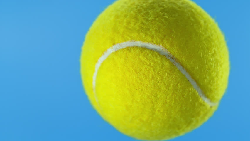 Shutterstock Video
