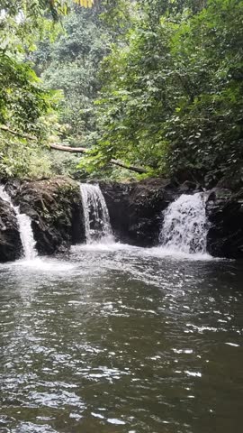 The beautiful river, located deep in the forest, offers a breathtaking view.

