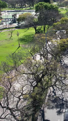 Drone Perspective of Urban Traffic in Buenos Aires, Argentina - 4K Vertical