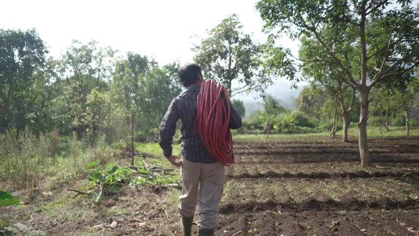 Farmer transporting irrigation hose through cultivated farmland scenery