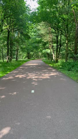 A bike path that goes through a dense forest and into a park area where there are wild animals