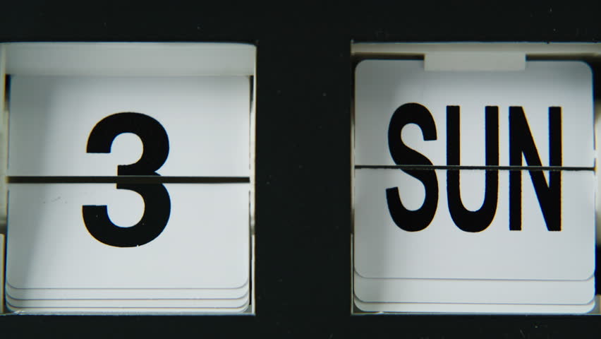 Shutterstock Video