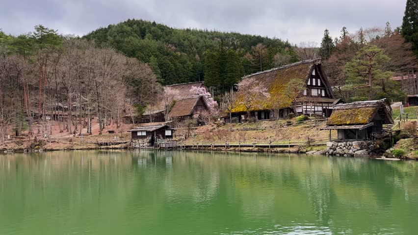 Picturesque Shirakawa-go village in Japan, showcasing traditional gassho-style farmhouses nestled beside a serene pond. Cherry blossoms add a touch of spring charm to this UNESCO World Heritage site.