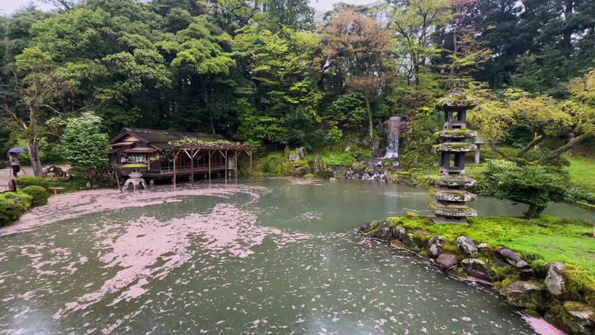 Serene Japanese garden scene in Kyoto's Kenrokuen Garden. Tranquil pond covered in cherry blossoms, traditional tea house, waterfall, and stone lantern create a picturesque view.