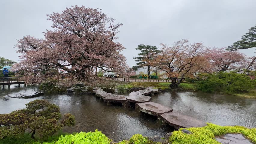 Serene Japanese garden in Hakone, showcasing a stone pathway across a pond, surrounded by blossoming cherry trees under a cloudy sky. Tranquil, peaceful atmosphere. Perfect for spring themes.