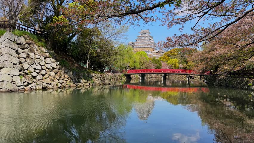 Himeji Castle in Japan, a UNESCO World Heritage site, is beautifully reflected in a calm moat. Cherry blossoms frame the scene, creating a picturesque spring landscape. The red bridge adds a vibrant