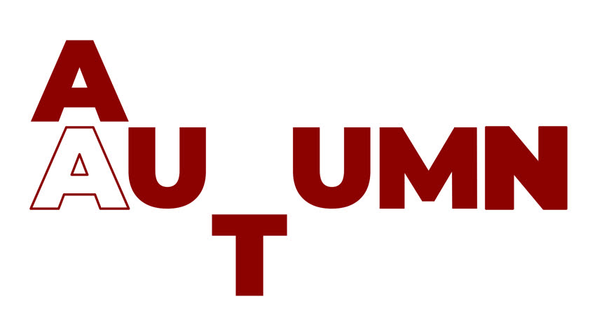 Shutterstock Video