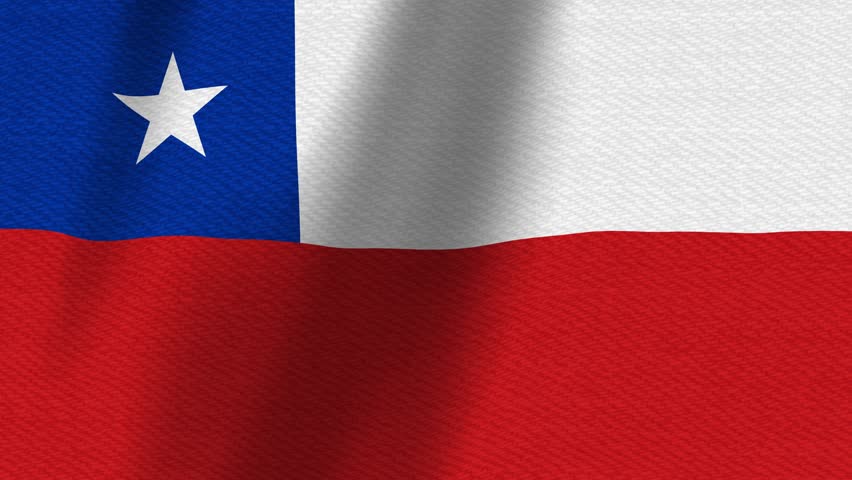 Texas flag waving background with seamless loop for your message about Texan events 