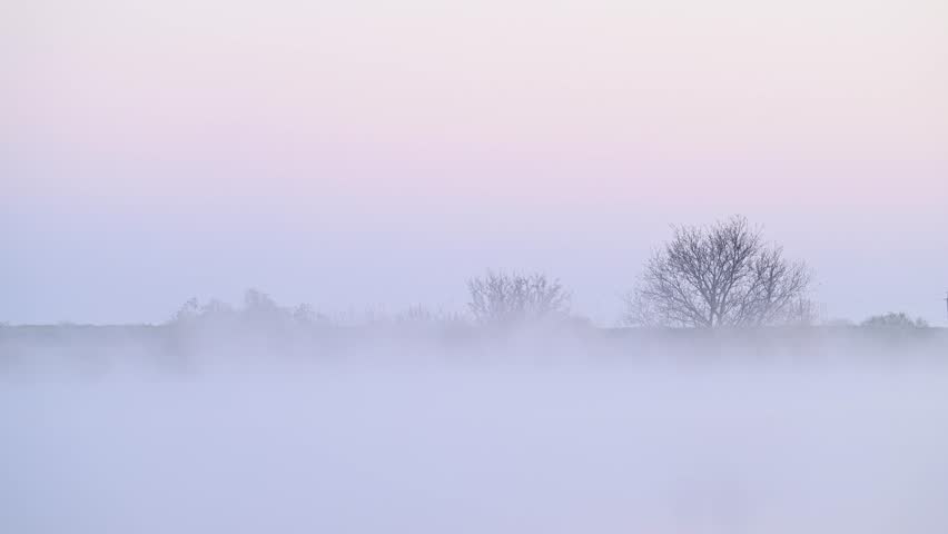 A flock of wild birds ducks glides silently through the thick morning fog toward a quiet lake. Slow motion, this serene moment reveals the harmony of wildlife in misty nature.