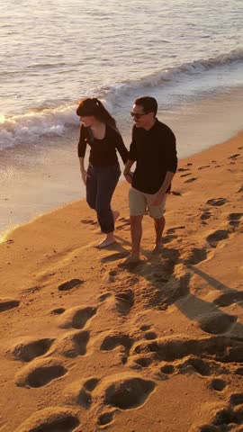 Aerial shot of a happy couple walking and playing with their dog on the beach at sunset in Southern California. Vertical Video.